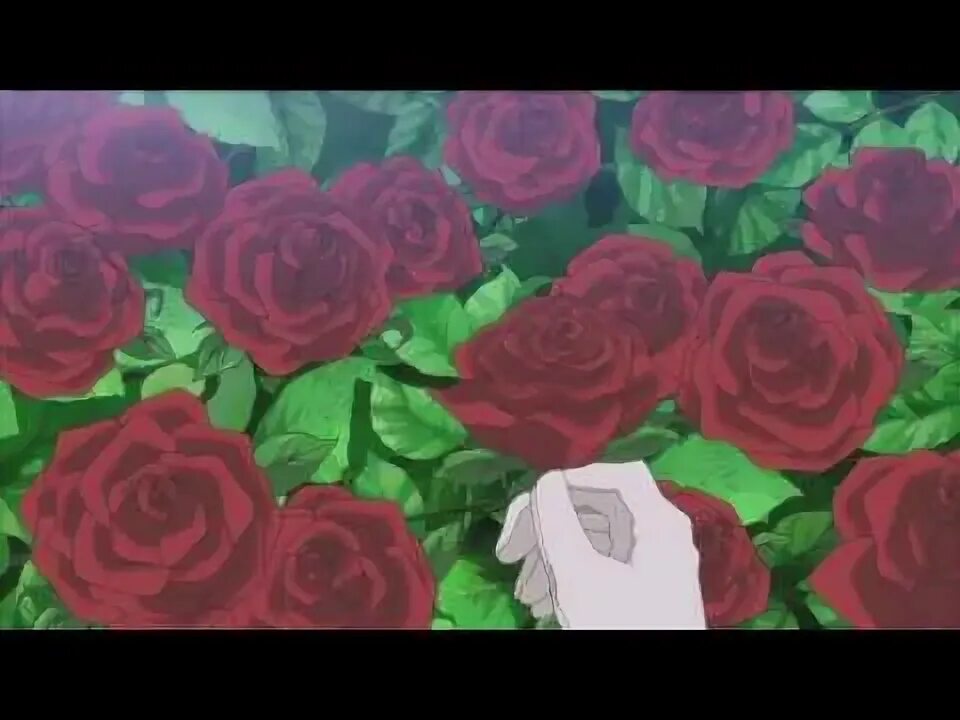 Аниме фон розы 6